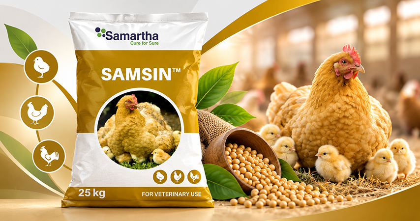 Samsin