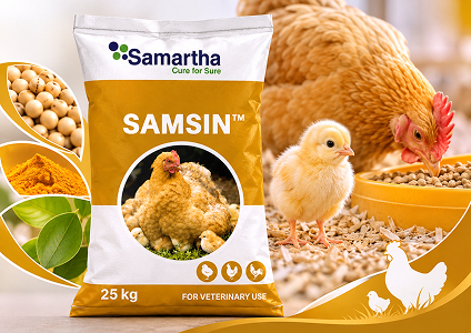 Samsin
