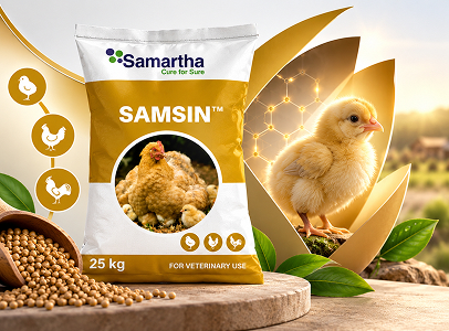 Samsin