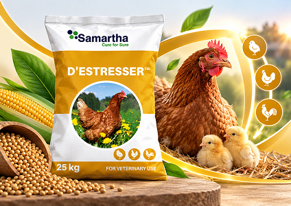 D'Estresser
