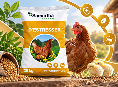 D'Estresser