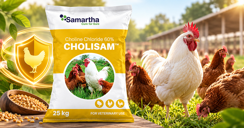 Cholisam