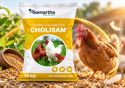 Cholisam