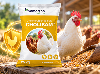 Cholisam