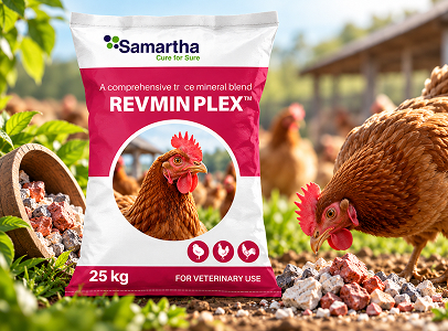 Revmin Plex