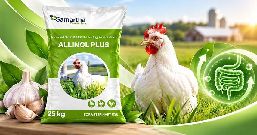 Allinol Plus