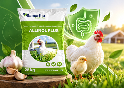 Allinol Plus