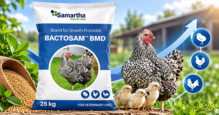 Bactosam BMD