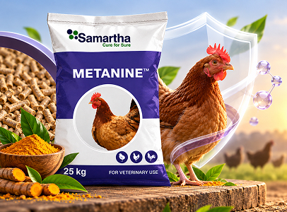 Metanine